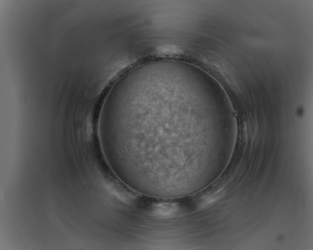 X0000094800508200711241427