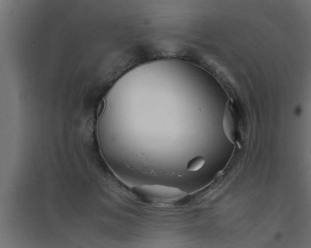 X0000094800509200711241427
