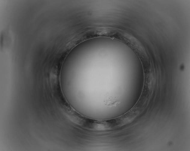 X0000094800510200711241426