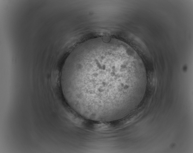 X0000094800511200711241426