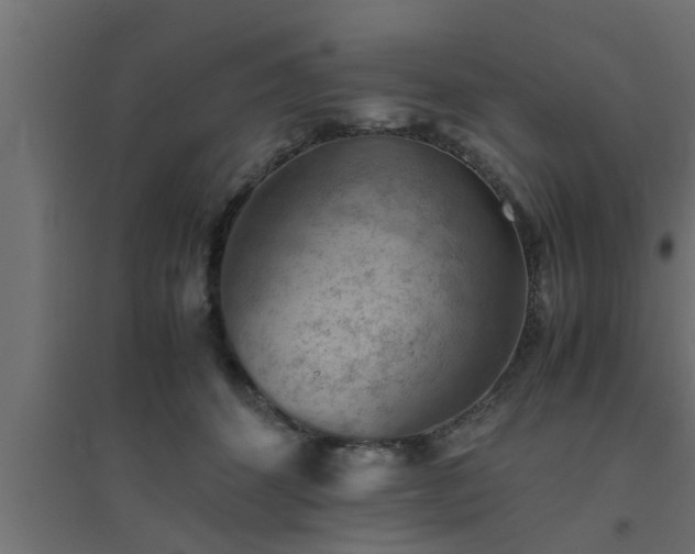 X0000094800512200711241426