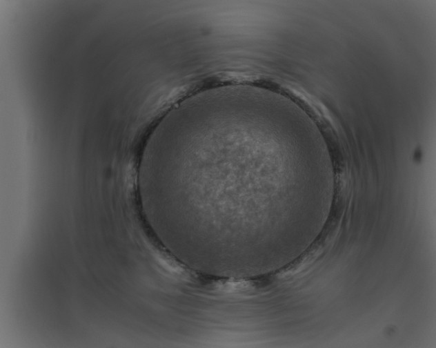 X0000094800517200711241426