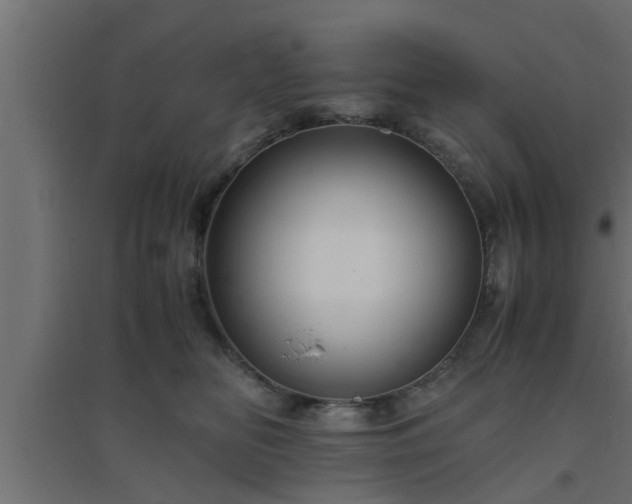 X0000094800518200711241426