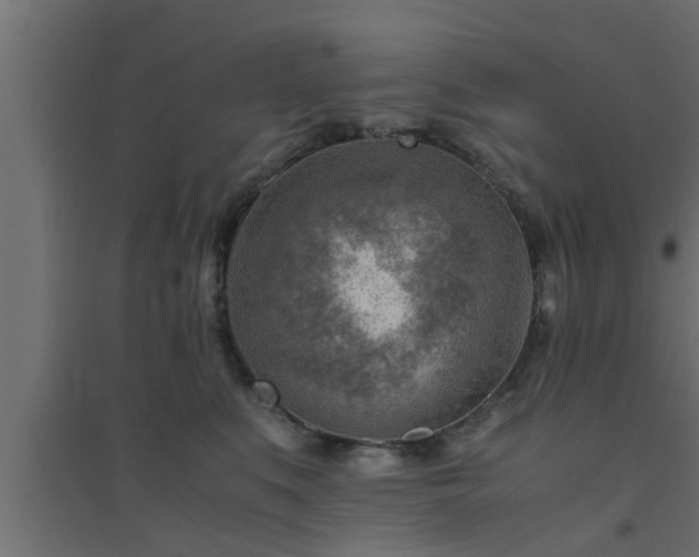 X0000094800519200711241426