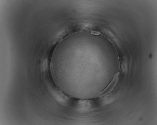 X0000094800520200711241426