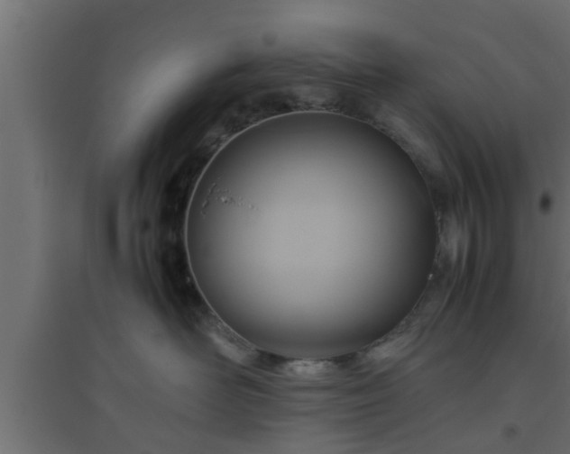X0000094800526200711241426