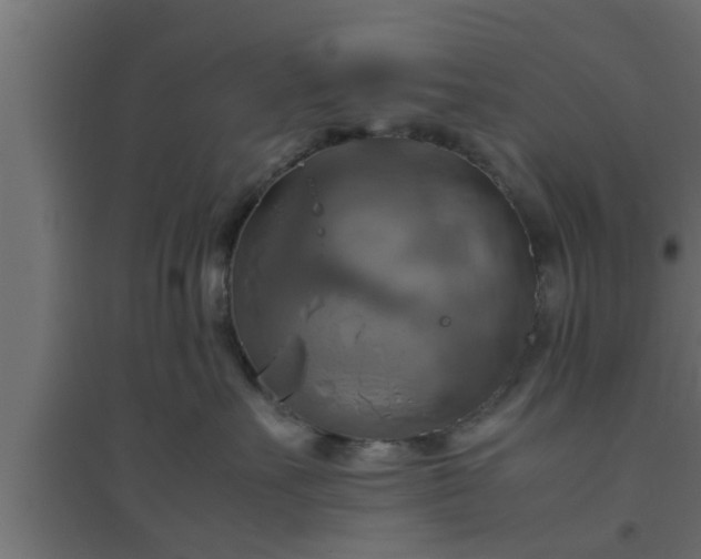 X0000094800527200711241426