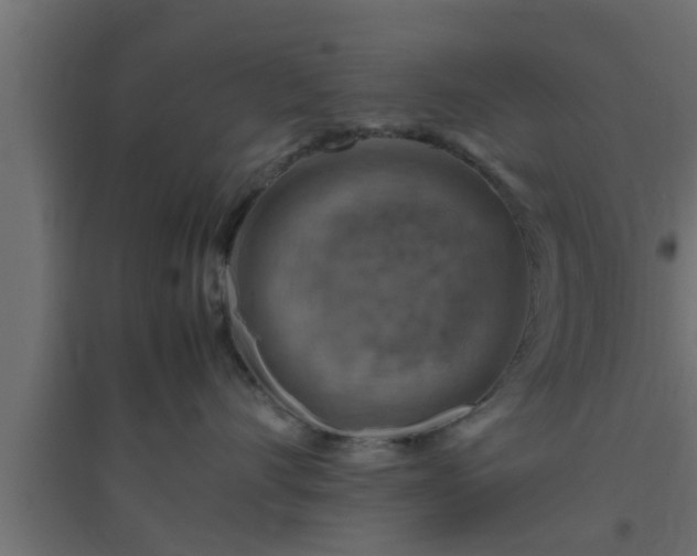 X0000094800528200711241426