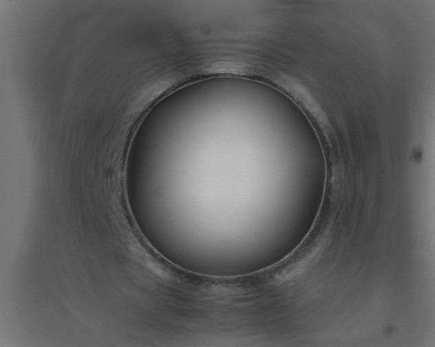 X0000094800529200711241426
