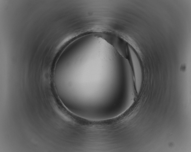 X0000094800530200711241426
