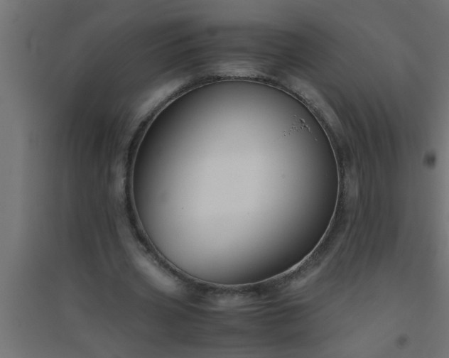X0000094800533200711241426