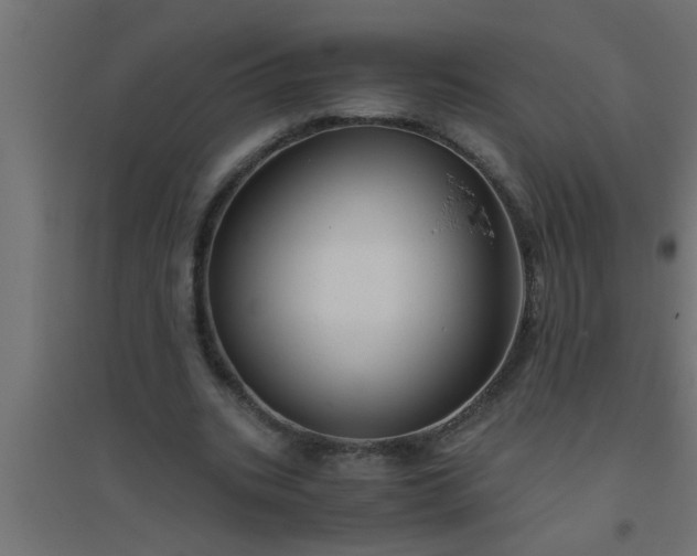 X0000094800535200711241426