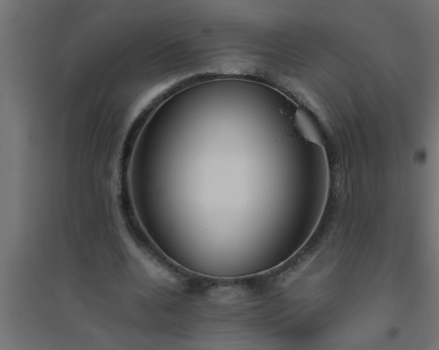X0000094800536200711241426