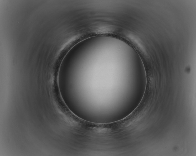 X0000094800539200711241426