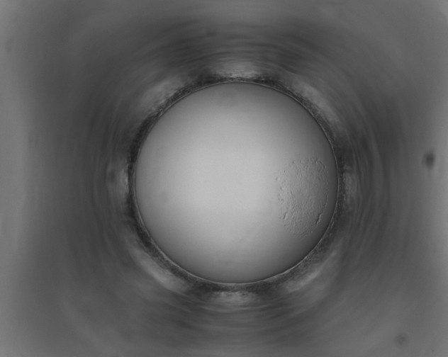 X0000094800541200711241426