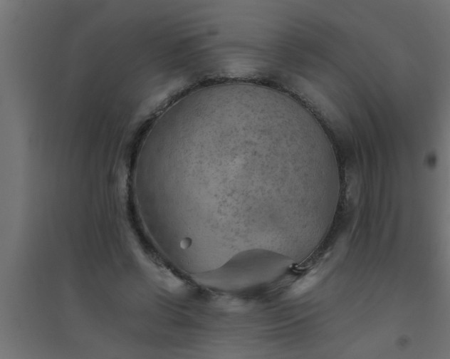 X0000094800542200711241426