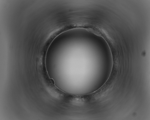 X0000094800543200711241426