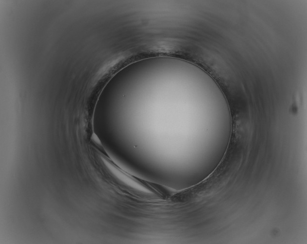 X0000094800544200711241426