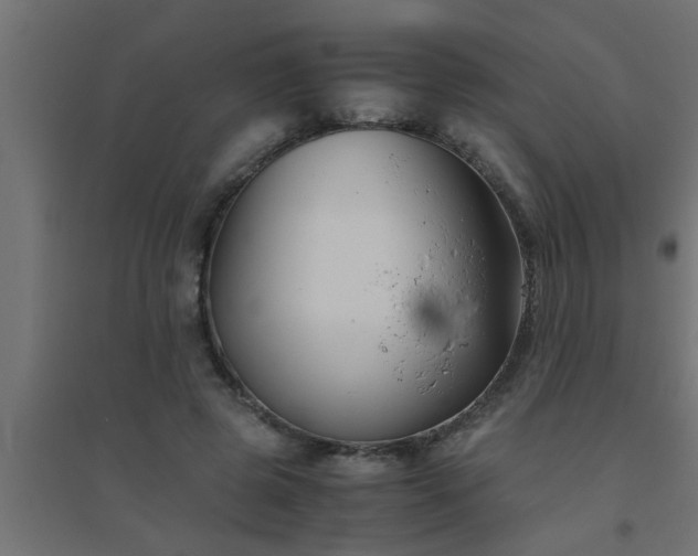 X0000094800545200711241426