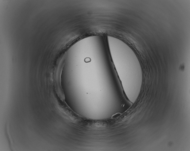 X0000094800546200711241426