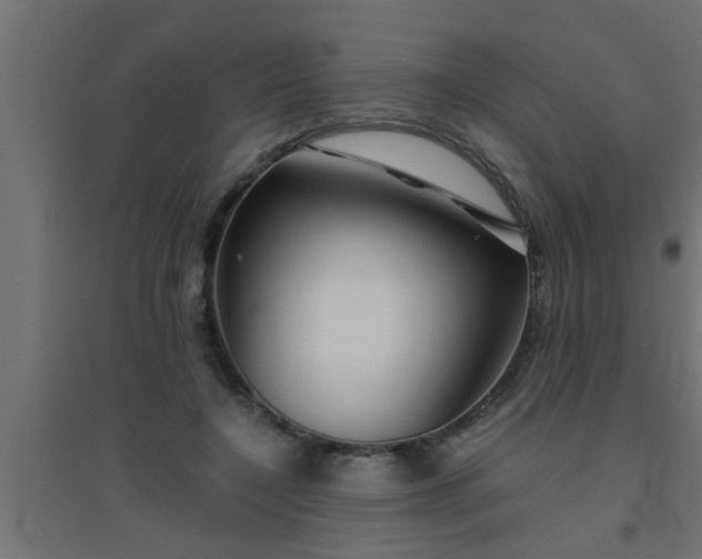 X0000094800548200711241426