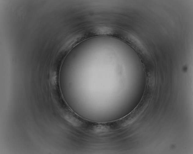 X0000094800549200711241426