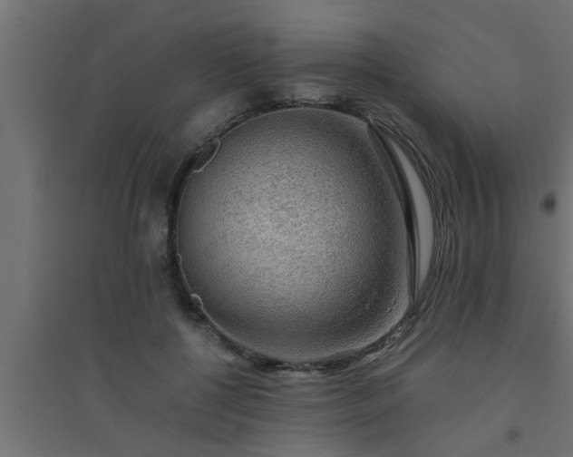 X0000094800552200711241426