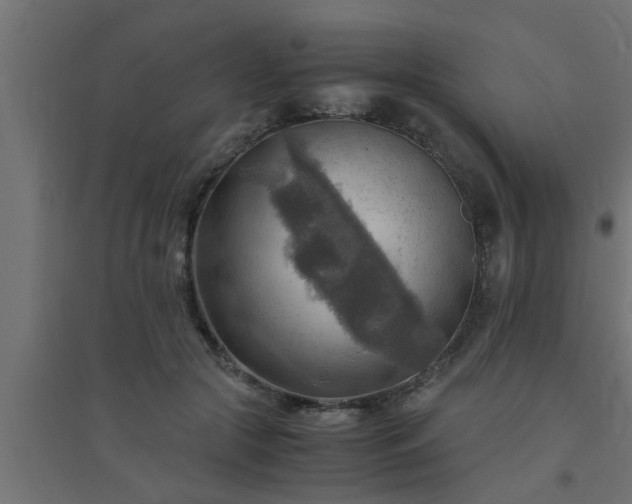 X0000094800553200711241426