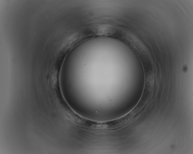 X0000094800554200711241426