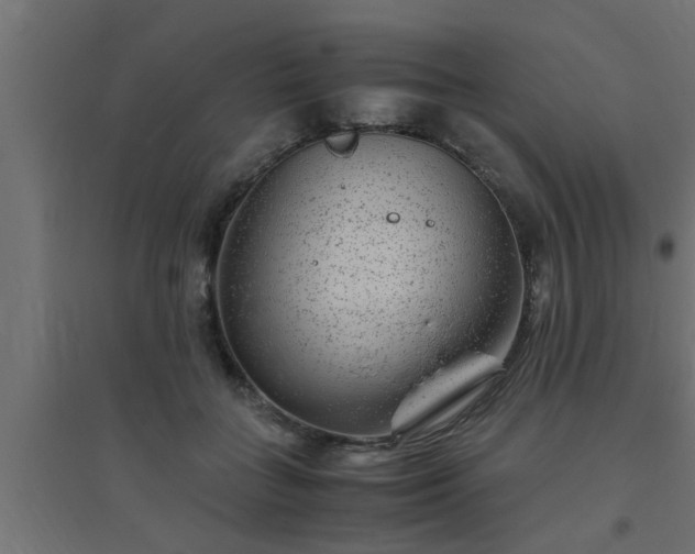 X0000094800555200711241426