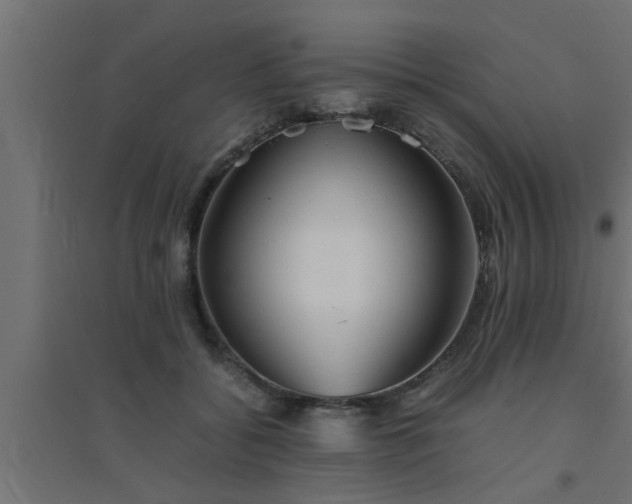 X0000094800556200711241426
