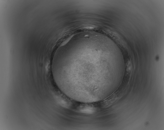 X0000094800559200711241426