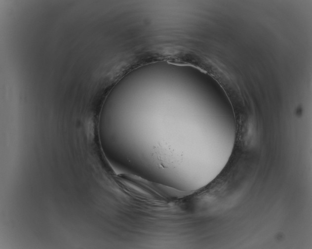 X0000094800562200711241426