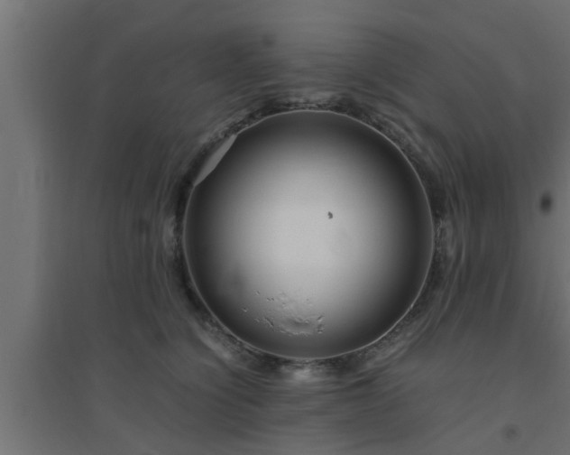X0000094800564200711241426
