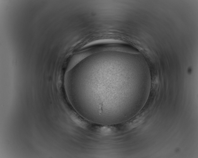 X0000094800566200711241426