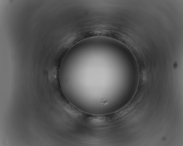 X0000094800567200711241426