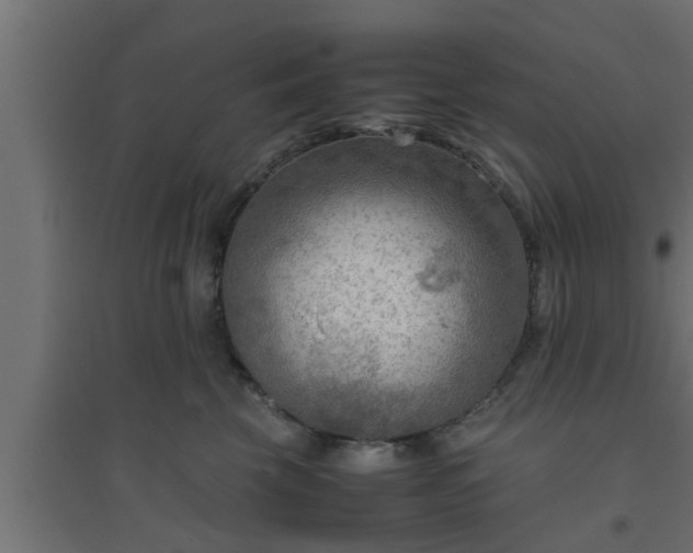 X0000094800569200711241426