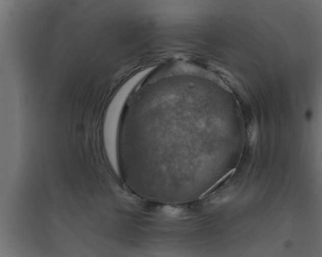 X0000094800570200711241426