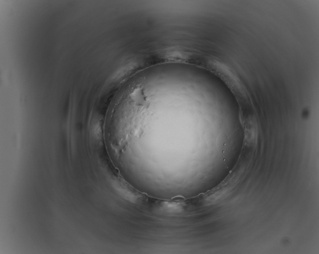 X0000094800573200711241426
