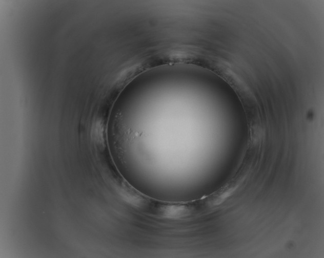 X0000094800575200711241426