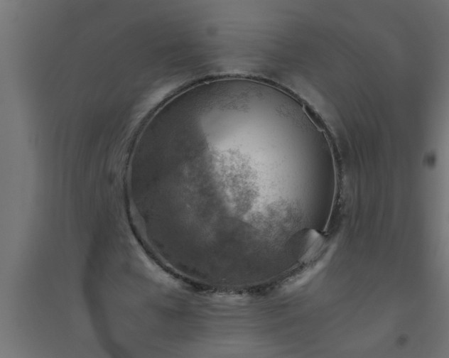 X0000094800577200711241426