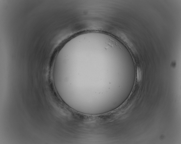 X0000094800579200711241426