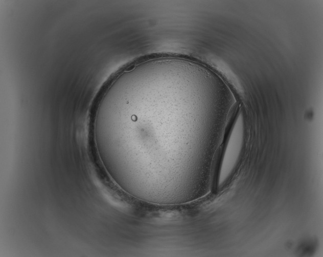 X0000094800580200711241426