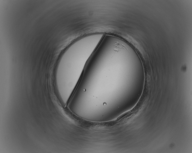 X0000094800581200711241426