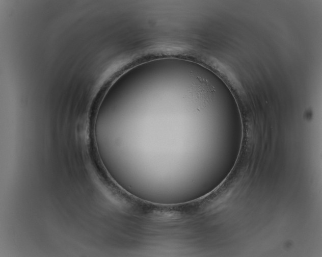 X0000094800582200711241425