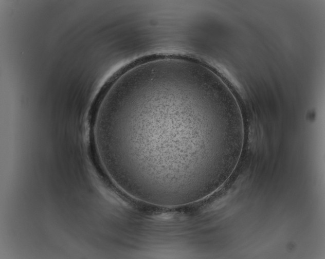 X0000094800584200711241425