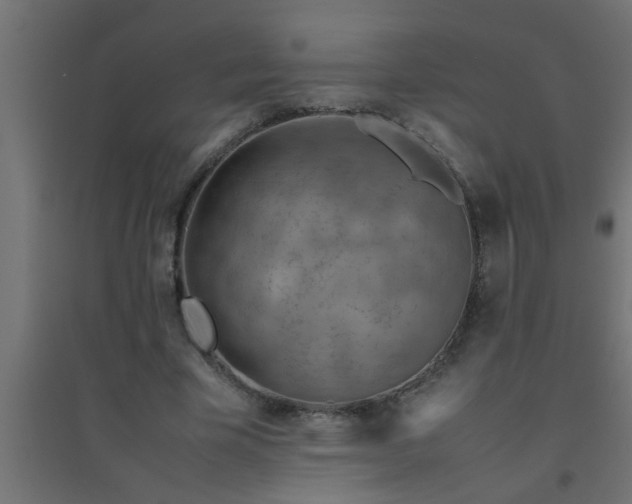 X0000094800585200711241425