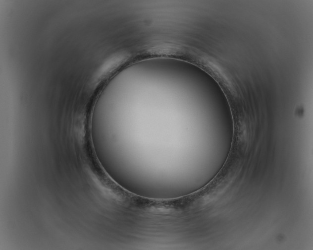 X0000094800586200711241425