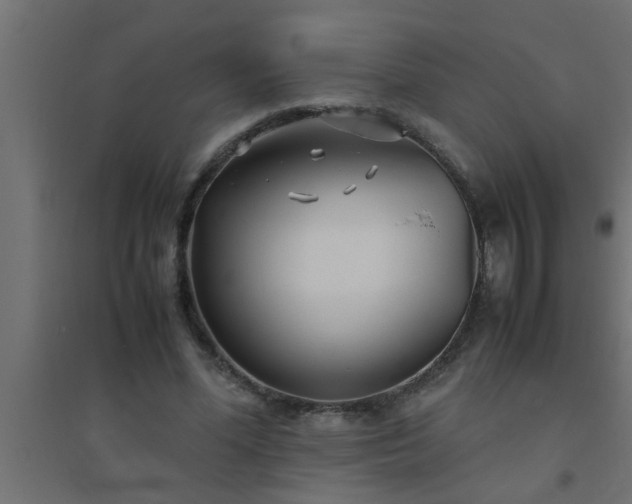 X0000094800588200711241425
