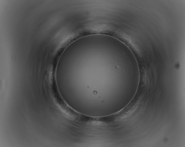 X0000094800590200711241425